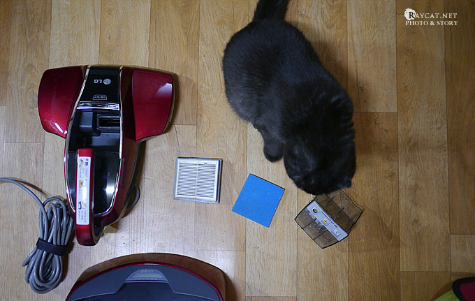 침구청소기, 고양이 사진