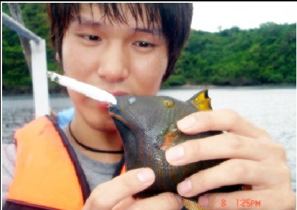 담배를 태우고 있는 물고기 사진