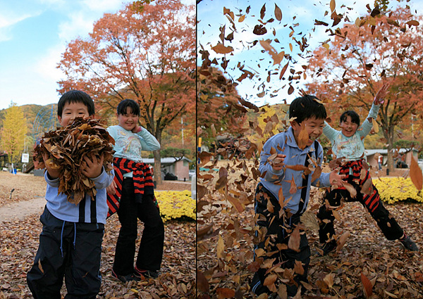 낙엽을 가지고 노는 아이들 사진