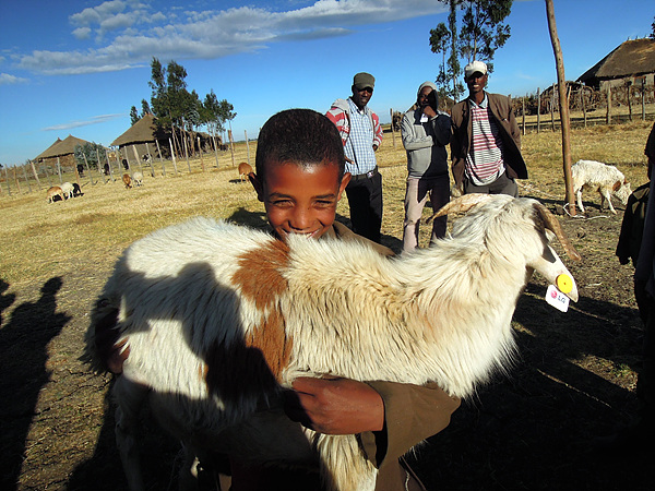 염소를 끌어 안고있는 에티오피아 소년