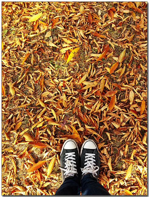 MC생산기술팀 여민수 과장이 LG G2로 촬영한 바닥에 떨어진 낙엽들과 본인의 발 모습이다