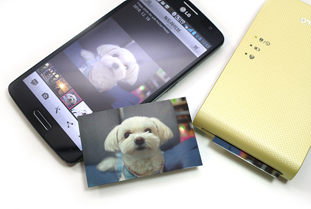 휴대폰과 노란색 포켓포토가 있다. 강아지 사진을 핸드폰으로 보고있고, 출력된 강아지 사진이 전시되어 있다.