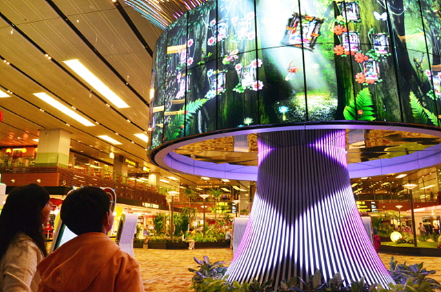 싱가포르 공항 설치되어 있는 아름다운 조형물 ‘소셜트리’