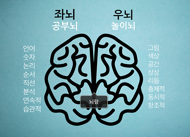 좌뇌와 우뇌의 특징. 좌뇌는 공부뇌 (언어, 숫자, 논리, 순서, 직선, 분석, 연속적, 습관적), 우뇌는 놀이뇌(그림, 색상, 공간, 상상, 리듬, 총체적, 동시적, 창조적)