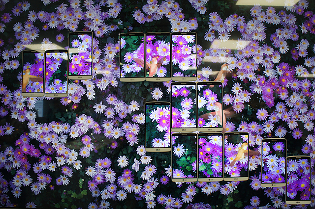 보라색 꽃 이미지안에 G3 여러 대가 놓여져 있다