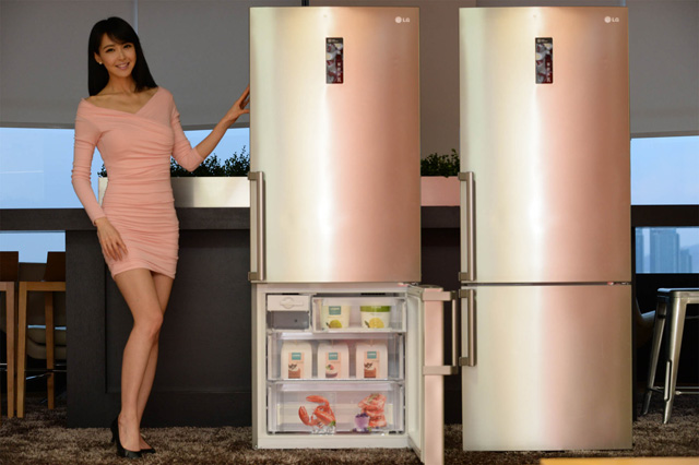 모델이 유러피안 스타일의 LG전자 상냉장/하냉동 452리터 냉장고 신제품(모델명: R-M441GCV)을 소개하고 있습니다.