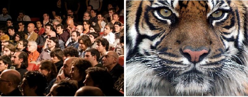 강연을 듣고 있는 청중의 모습(왼쪽), 호랑이 얼굴이 클로즈업된 모습(오른쪽)