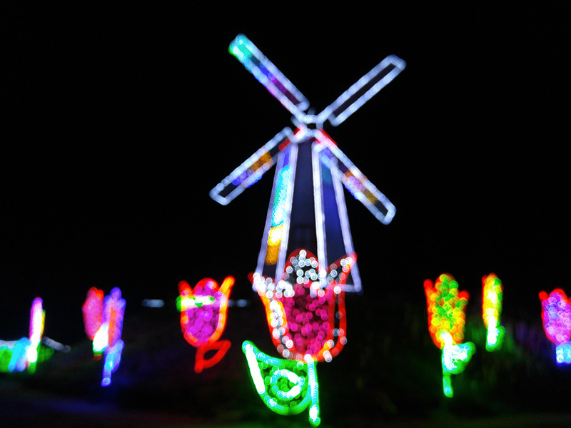 LED 조명으로 빛나는 풍차의 야경 사진 