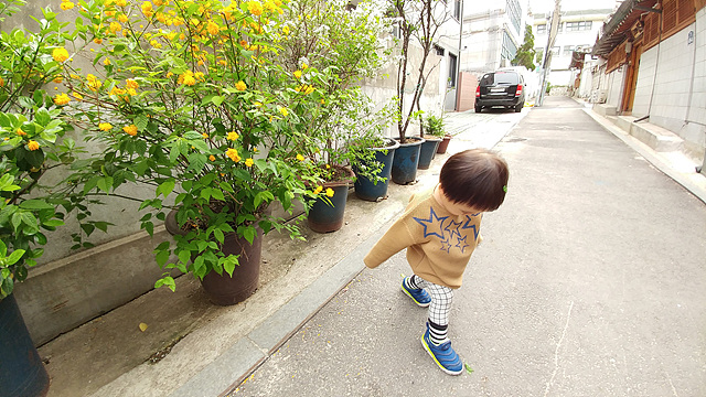 노란 꽃 화분이 있는 거리를 걷고 있는 아이의 모습을 G5로 촬영한 사진입니다.