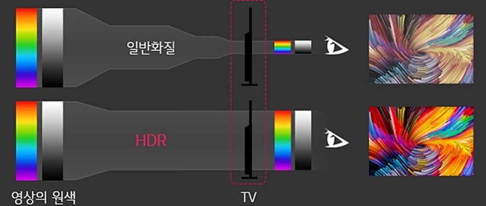 일반 화질과 HDR 영상의 원색 비교