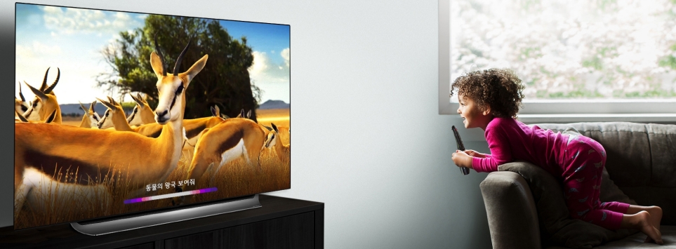 LG 올레드 TV(모델명 : C9)