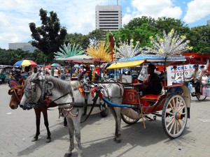 모나스 광장 투어 마차