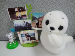 포켓포토 사진인화