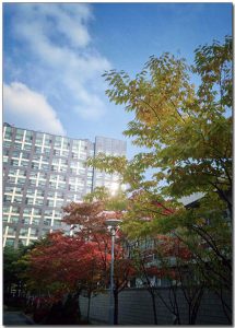 가산디지털센터_최선욱