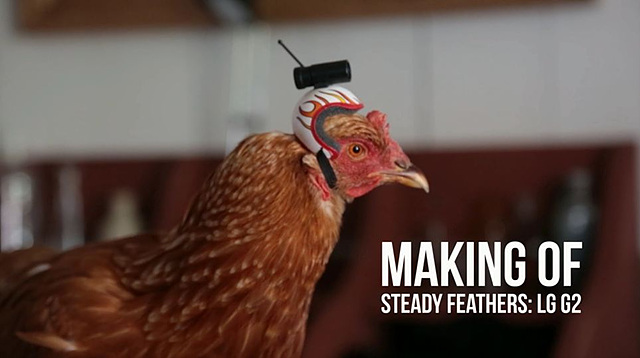 세상에서 가장 용감한 닭,  LG G2 카메라를 만나다