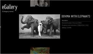 이 갤러리의 이미지 코끼리 두마리 사이에 흰 드레스를 입은 여자가 춤을추듯 포즈를 취하고있다