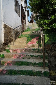 이화 벽화마을 계단에 그려진 꽃 이미지