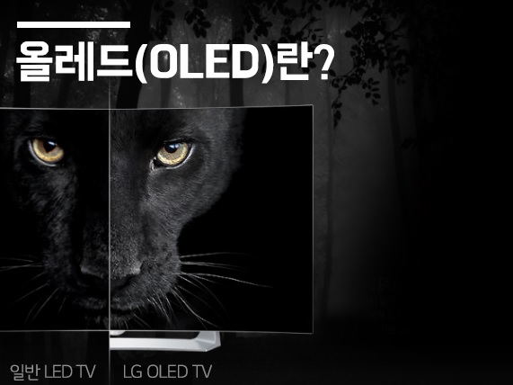 [알기쉬운 IT용어 # 01] '올레드(OLED)'란? | | LiVE LG - LG전자 소셜 매거진