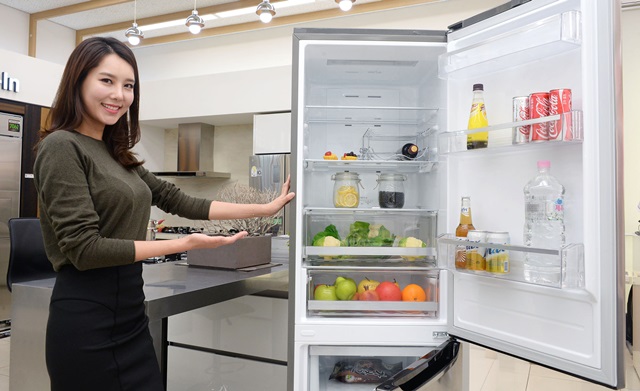 LG전자, 1~2인 가구 맞춤형 유럽 스타일 냉장고 출시
