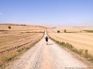 LG전자가 20일 홈페이지, 페이스북, 인스타그램 등을 통해 ‘LG V20 On The Way(온 더 웨이)’ 프로젝트를 공개한다. LG V20 On The Way’는 유명 사진작가 안하진씨가 기획을 맡은 여행 사진 프로젝트다. 안 작가는 LG V20를 들고 지난 9월 20일부터 37일간 총 800km의 칠레 산티아고 순례길을 여행했다. 그녀는 매일 20km를 걸으며 접한 100여 개 마을과 주민들을 LG V20와 삼각대 등 최소한의 장비만을 이용해 사진에 담아냈다. 안 작가는 LG V20의 전문가 모드, 광각 카메라 등이 활용해 다양한 연출을 했다.