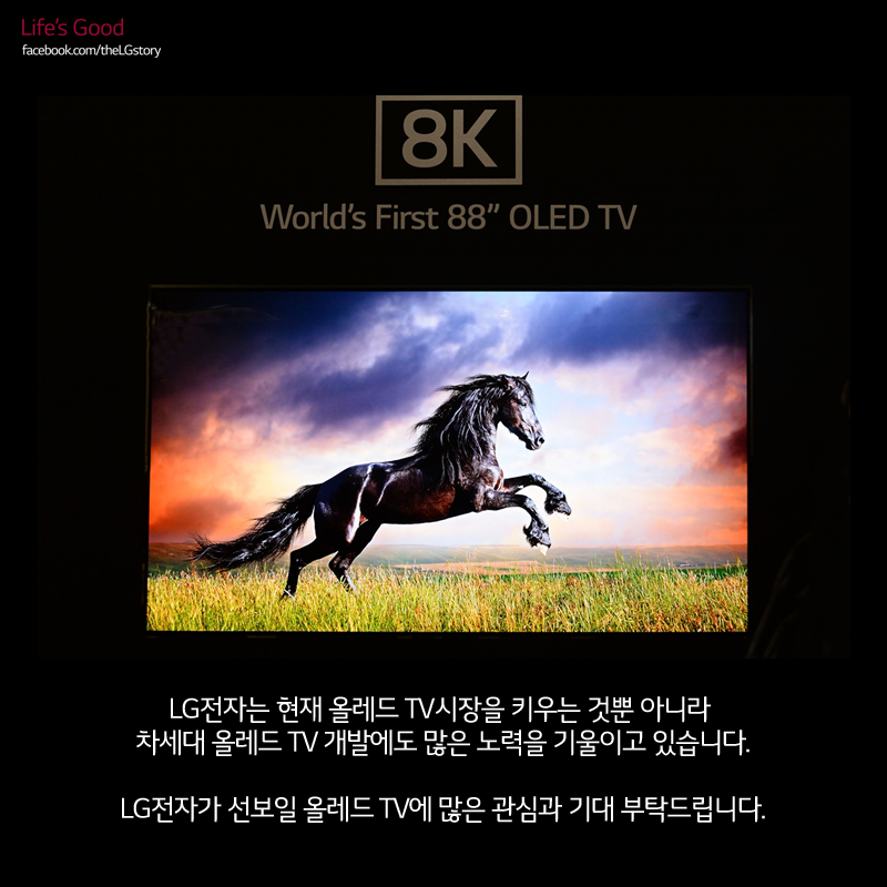 [CEO 현장을 뛴다] 세상을 바꾸다 – LG 올레드 TV