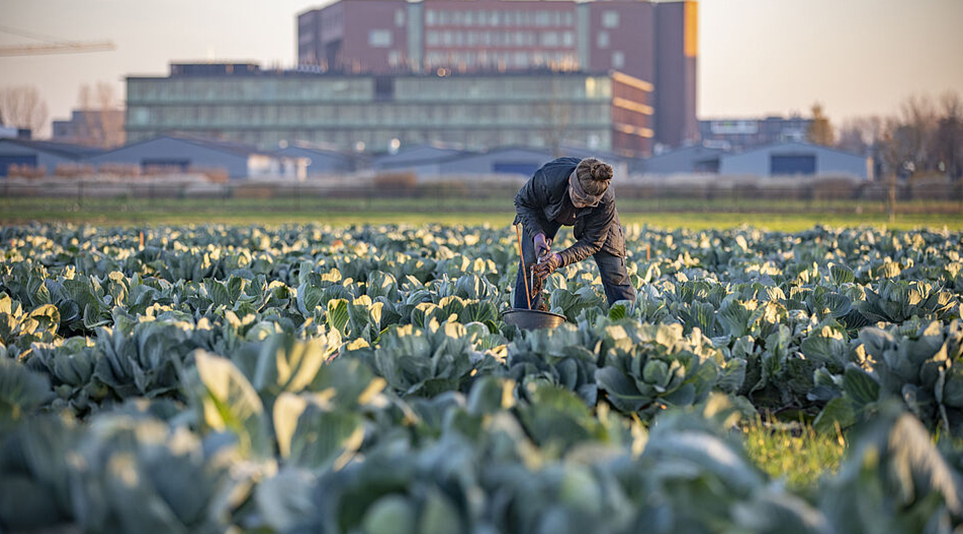 식품산업 R&D를 지속적으로 진행하고 있는 네덜란드의 푸드벨리, 출처: 푸드밸리 홈페이지(https://www.regiofoodvalley.nl)