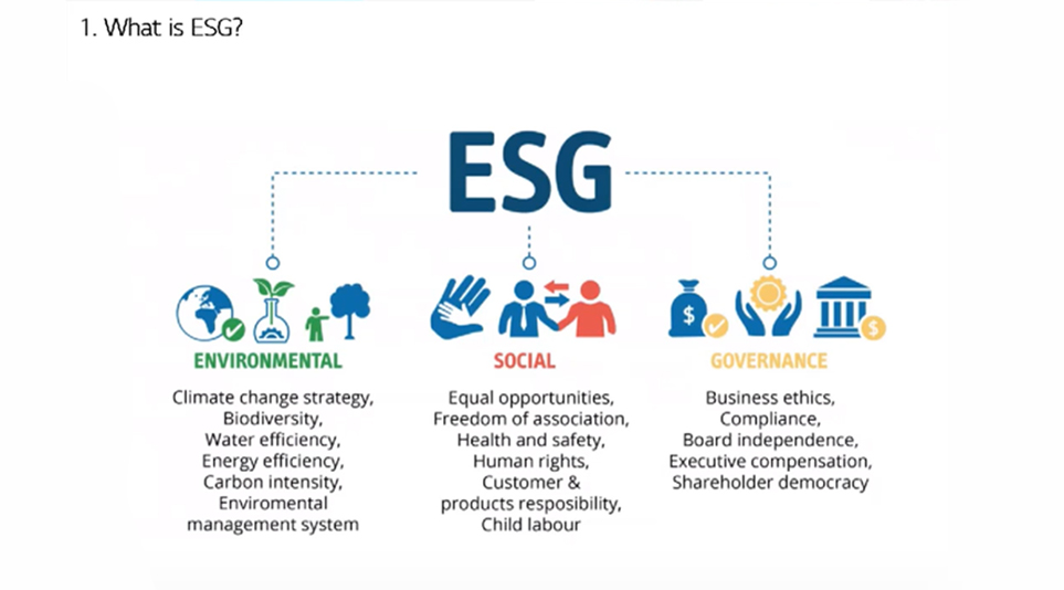 ESG가 무엇인지 나타내는 도표