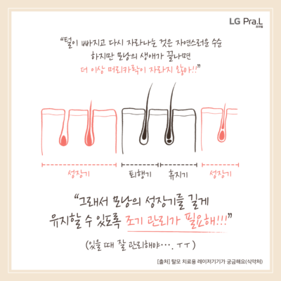 “털이 빠지고 다시 자라나는 것은 자연스러운 수순 하지만 모낭의 생애가 끝나면 더 이상 머리카락은 자라지 않아!” “그래서 모낭의 성장기를 길게 유지할 수 있도록 조기 관리가 필요해!!!” (있을 때 잘 관리해야…. ㅜㅜ) [출처] 탈모 치료용 레이저기기가 궁금해요(식약처)