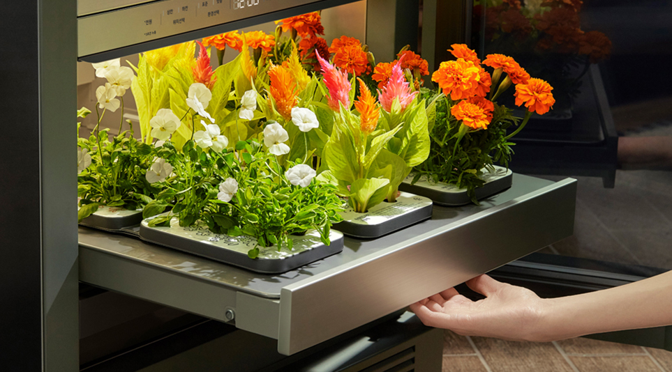 LG 틔운은 자동 온도 조절 시스템으로 식물들이 자라는 데 필요한 최적의 온도환경 구현이 가능하다