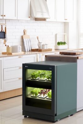 LG전자가 테이블 위에서도 손쉽게 반려(伴侶)식물을 키울 수 있는 식물생활가전 신제품 ‘LG 틔운 미니(LG tiiun mini)’를 3일 출시했다. LG 틔운 미니가 주방에서 LG 틔운과 함께 사용되고 있는 모습