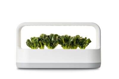 LG전자가 테이블 위에서도 손쉽게 반려(伴侶)식물을 키울 수 있는 식물생활가전 신제품 ‘LG 틔운 미니(LG tiiun mini)’를 3일 출시했다. LG 틔운 미니 제품 이미지