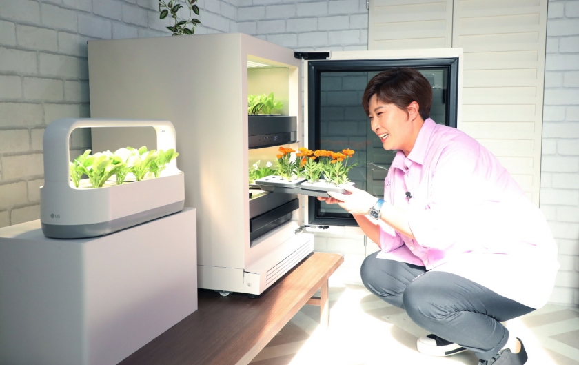 골프여신 박세리가 ‘ThinQ 방탈출 카페’의 테마 가운데 하나인 세탁실에서 신개념 식물생활가전 ‘LG 틔운(LG tiiun) 오브제컬렉션’을 체험하고 있다.