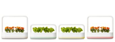 LG 틔운 미니 제품 사진