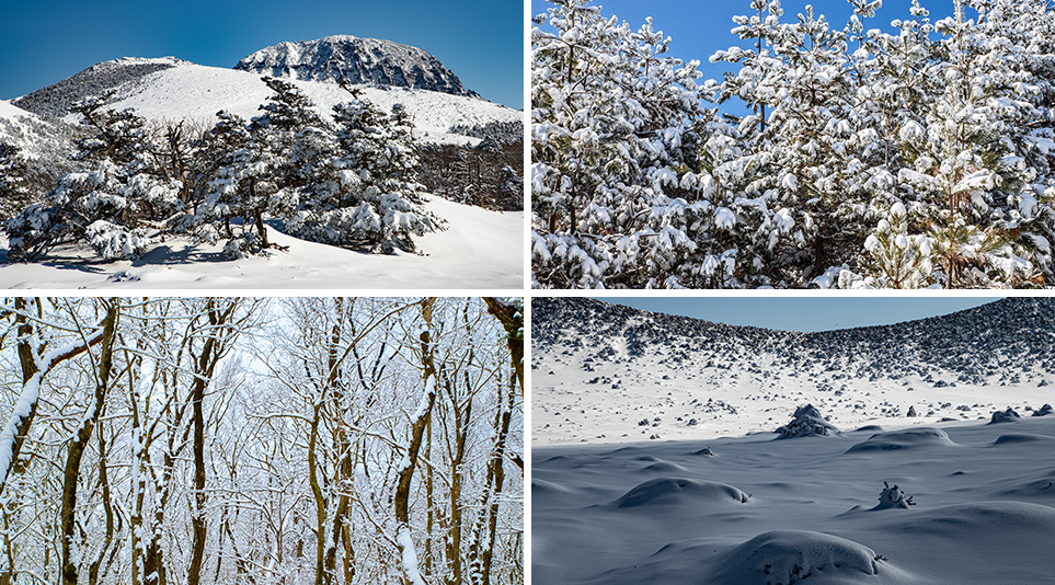 벅차오르는 감정을 느끼는 새하얀 겨울 설산의 풍경