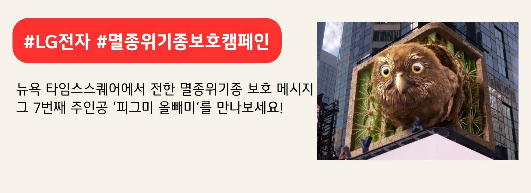 #LG전자 #멸종위기종보호캠페인 
뉴욕 타임스스퀘어에서 전한 멸종위기종 보호 메시지
그 7번째 주인공 ‘피그미 올빼미’를 만나보세요!