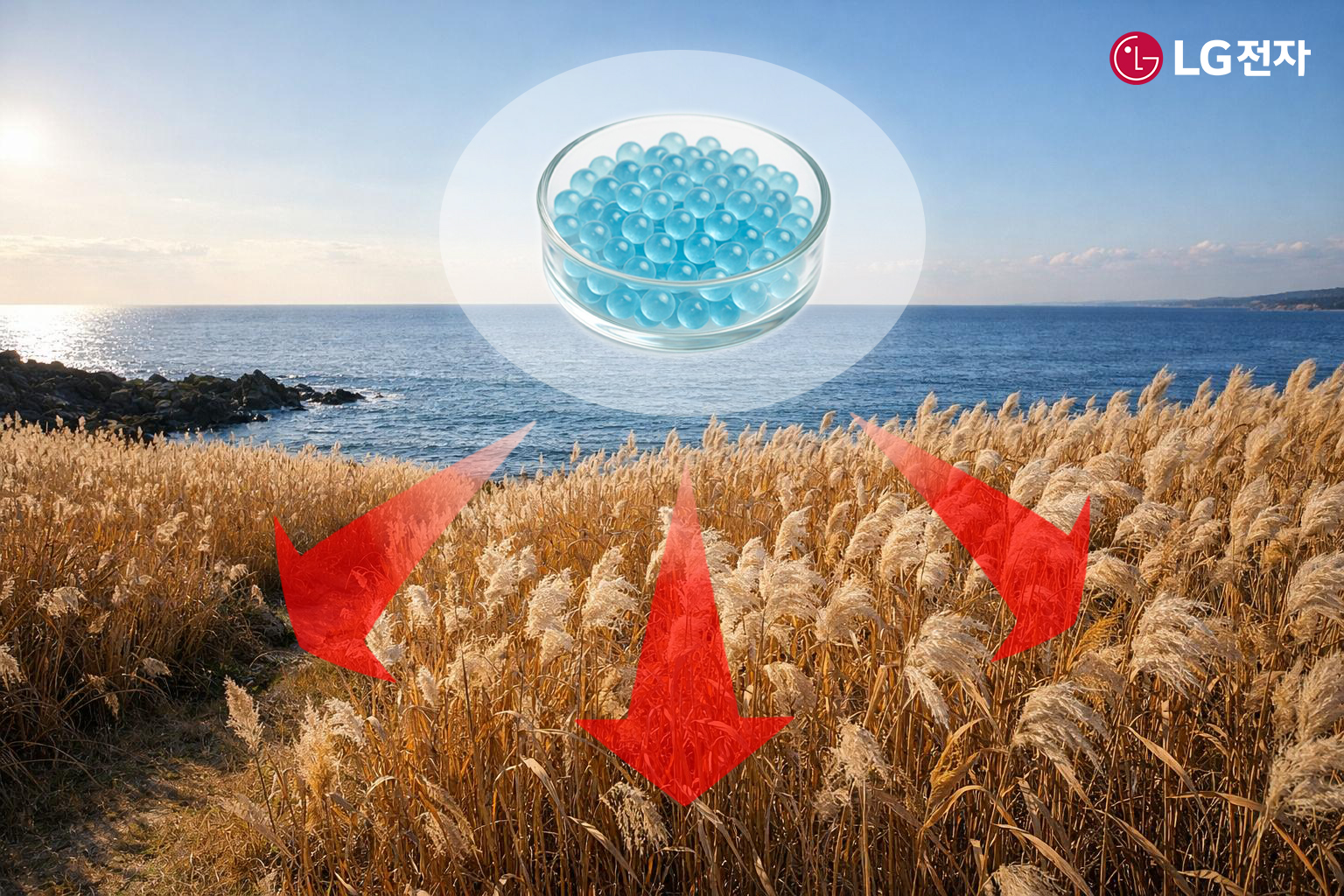 부산시 갈대밭에 마린 글라스를 적용하는 모습 예시(AI 제작).