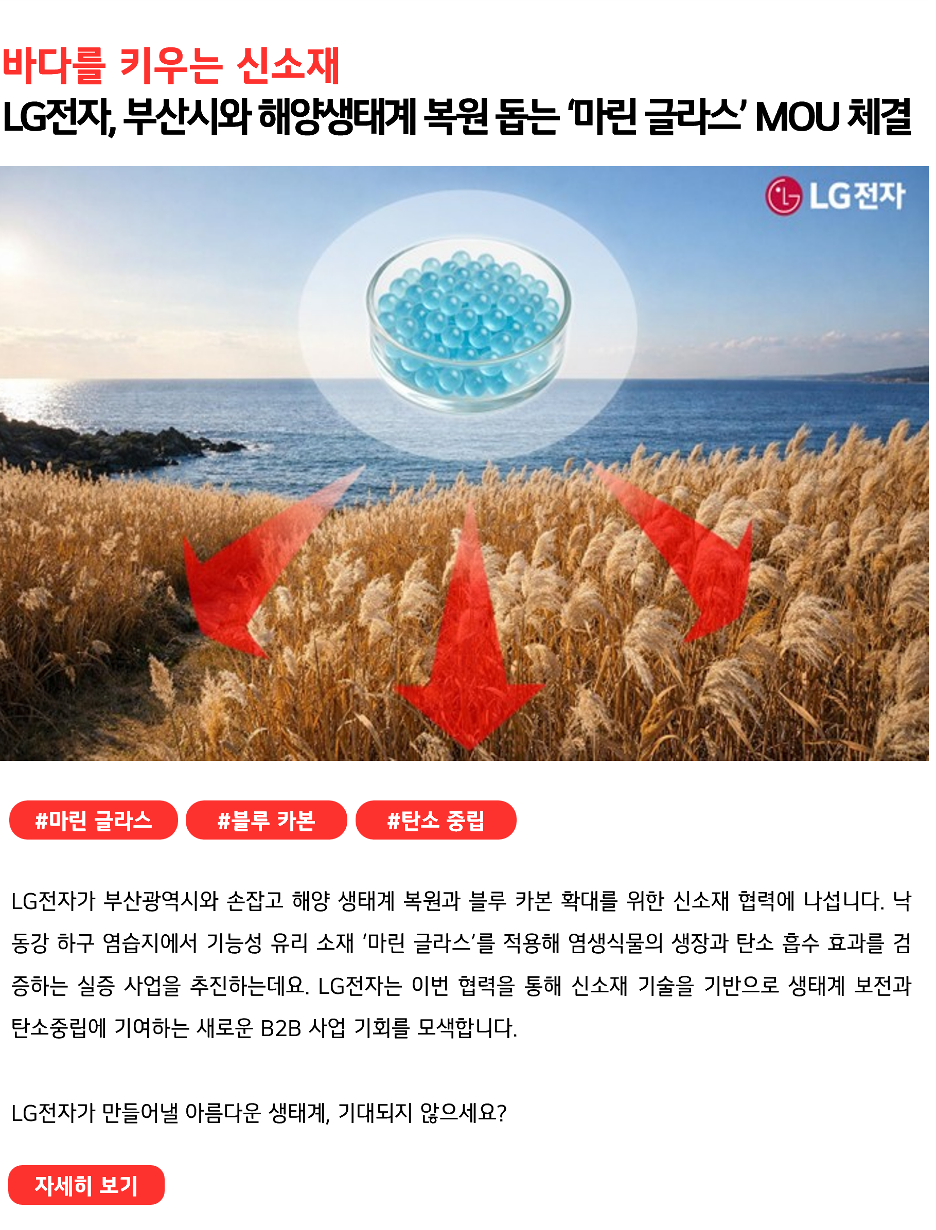 바다를 키우는 신소재 LG전자, 부산시와 해양생태계 복원 돕는 ‘마린 글라스’ MOU 체결 #마린글라스 #블루카본 #탄소중립 LG전자가 부산광역시와 손잡고 해양 생태계 복원과 블루카본 확대를 위한 신소재 협력에 나섭니다. 낙동강 하구 염습지에서 기능성 유리 소재 ‘마린 글라스’를 적용해 염생식물의 생장과 탄소 흡수 효과를 검증하는 실증 사업을 추진하는데요. LG전자는 이번 협력을 통해 신소재 기술을 기반으로 생태계 보전과 탄소중립에 기여하는 새로운 B2B 사업 기회를 모색합니다. LG전자가 만들어낼 아름다운 생태계, 기대되지 않으세요?