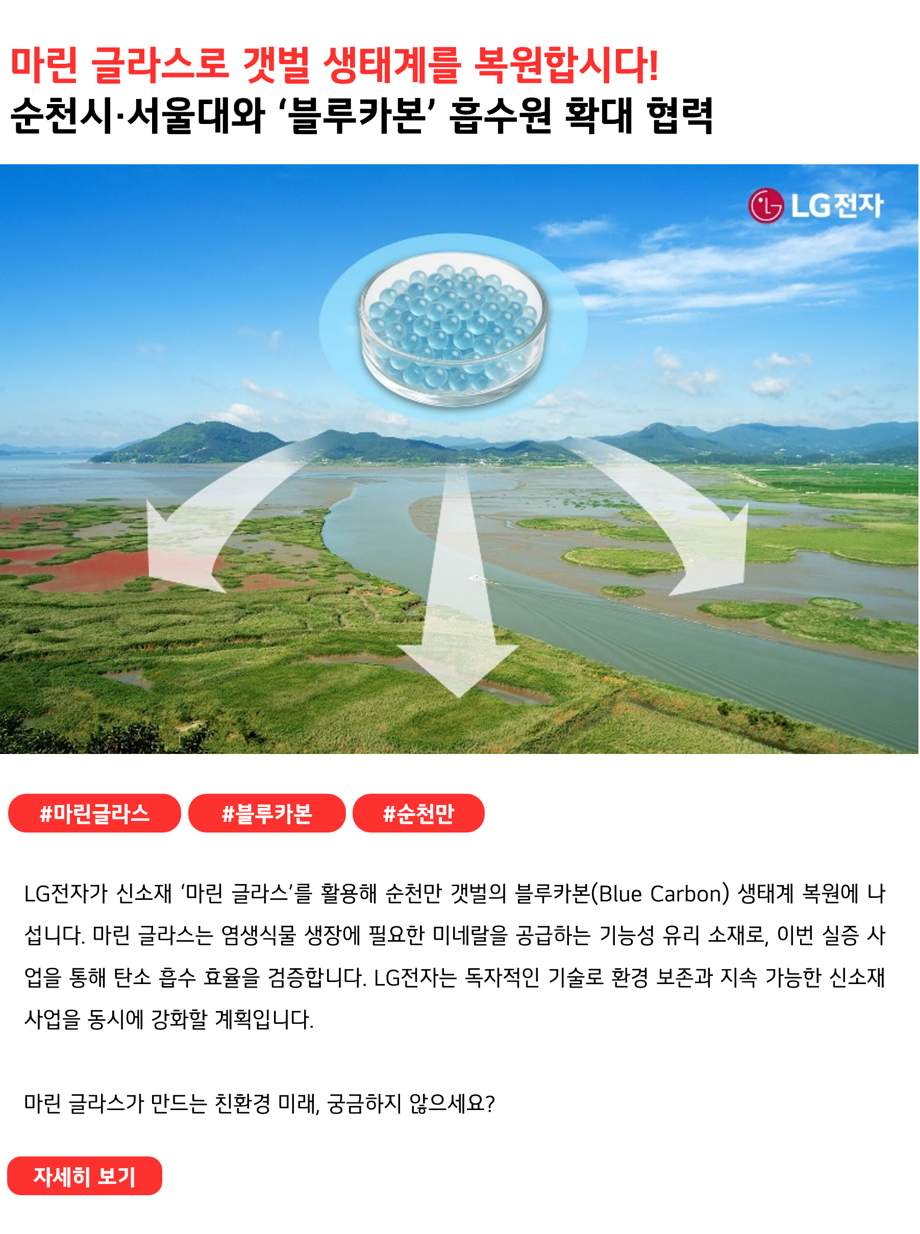 마린 글라스로 갯벌 생태계를 복원합시다!순천시·서울대와 ‘블루카본’ 흡수원 확대 협력#마린글라스 #블루카본 #순천만
LG전자가 신소재 ‘마린 글라스’를 활용해 순천만 갯벌의 블루카본(Blue Carbon) 생태계 복원에 나섭니다. 마린 글라스는 염생식물 생장에 필요한 미네랄을 공급하는 기능성 유리 소재로, 이번 실증 사업을 통해 탄소 흡수 효율을 검증합니다. LG전자는 독자적인 기술로 환경 보존과 지속 가능한 신소재 사업을 동시에 강화할 계획입니다.

마린 글라스가 만드는 친환경 미래, 궁금하지 않으세요?
